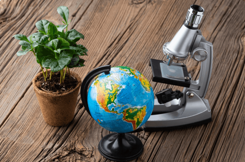 Ciencias Naturales - Ciclo IV