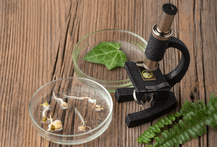 Ciencias Naturales - Ciclo V