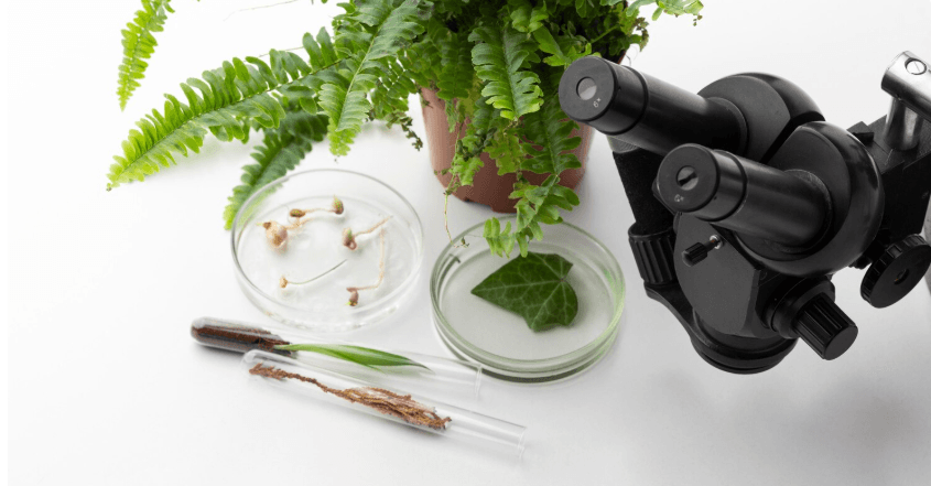 Ciencias Naturales - Ciclo VI