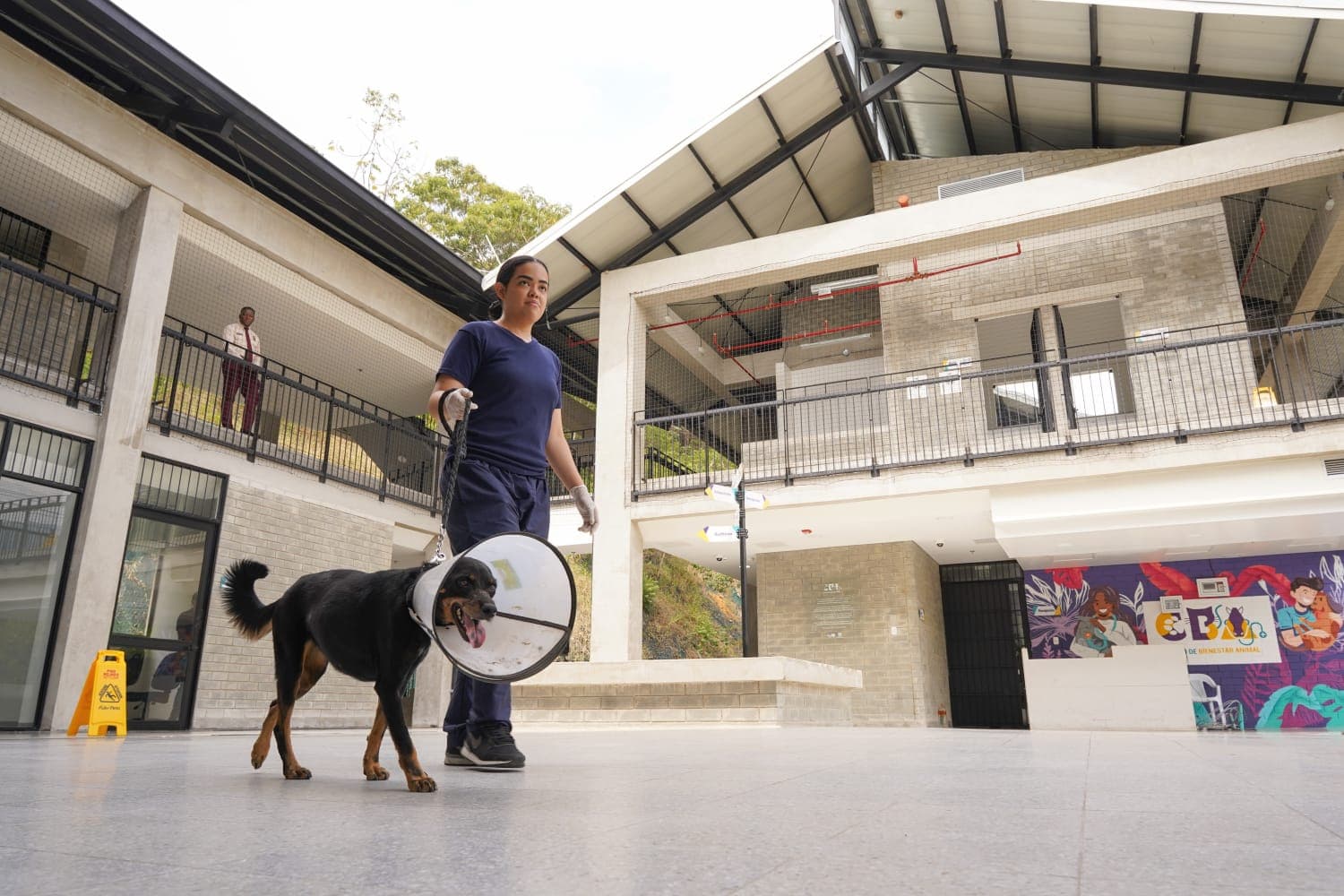 Curso de Gestión Veterinaria, Farmacología animal