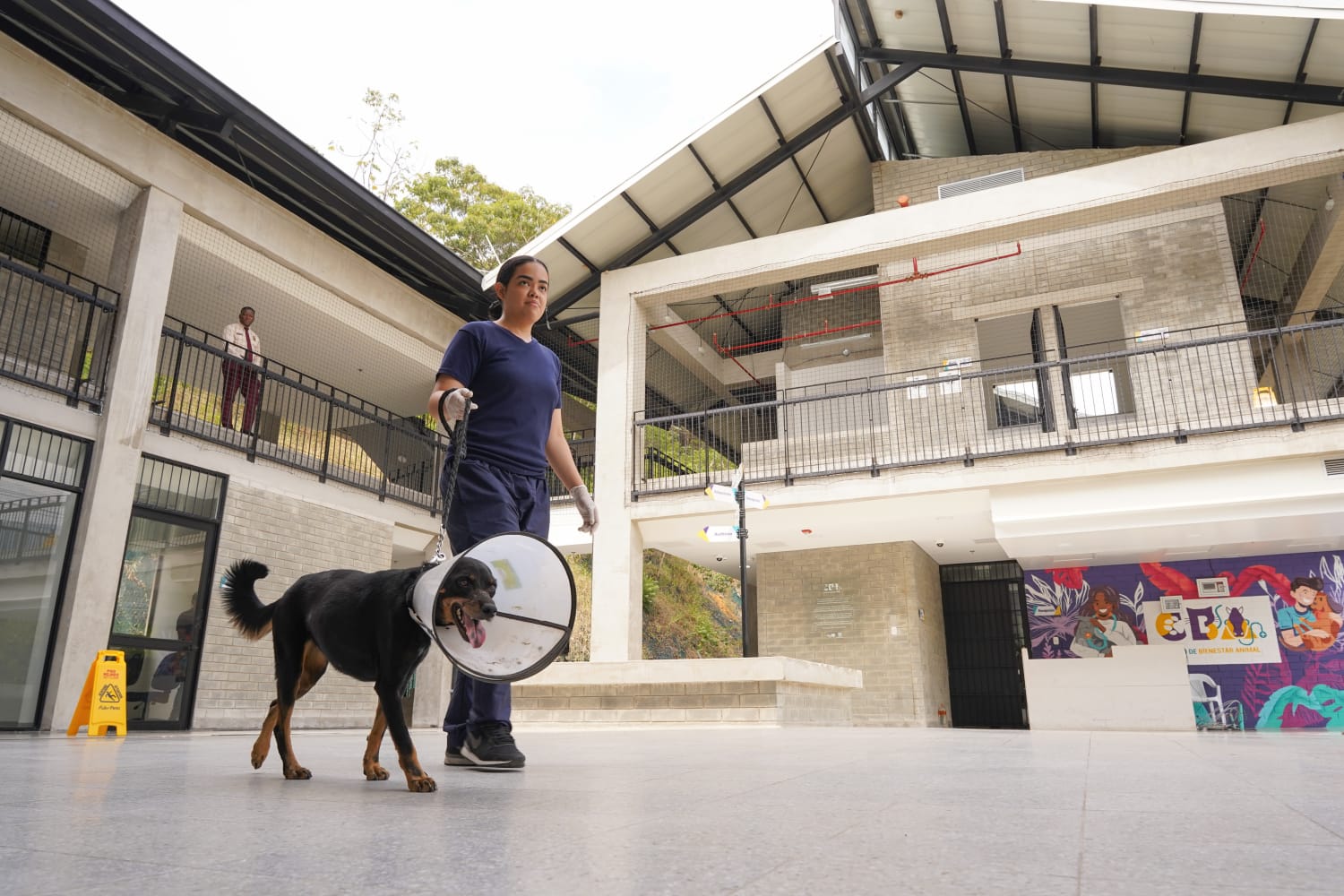 Curso de Gestión Veterinaria, Farmacología animal
