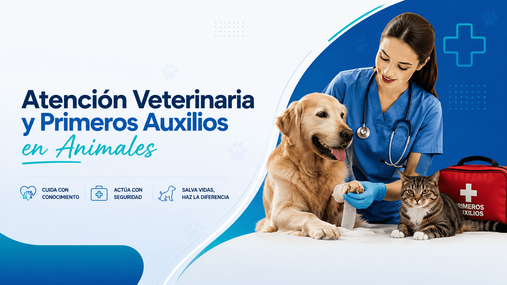 Atención Veterinaria y Primeros Auxilios en Animales